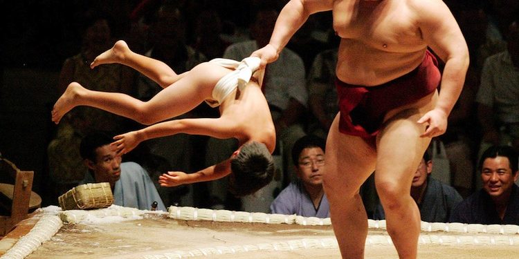 Sumo