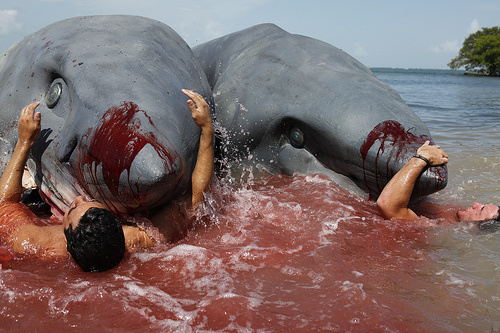 Two Headed Shark Attack