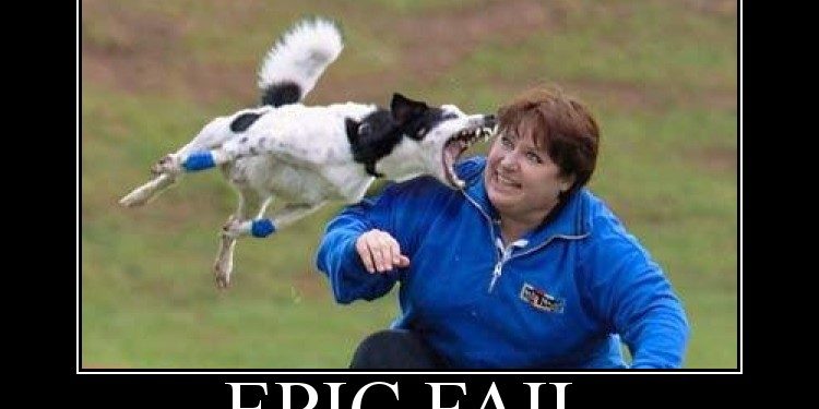 Epic_Fail_by_cybeastwarrior