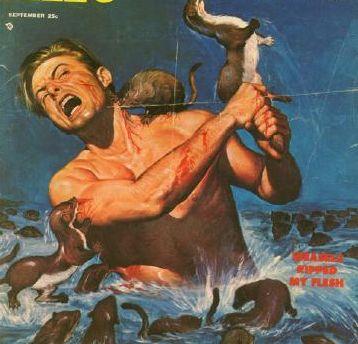 Weasel_attack