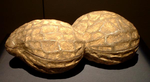 peanut-sugiura-yasuyoshi