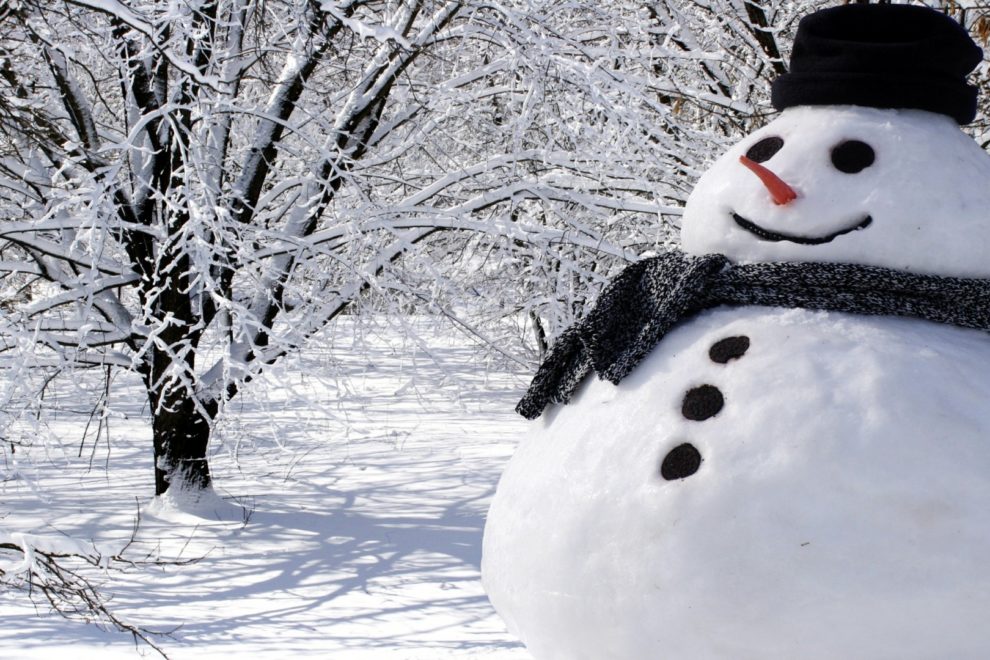 real-snowman-296582