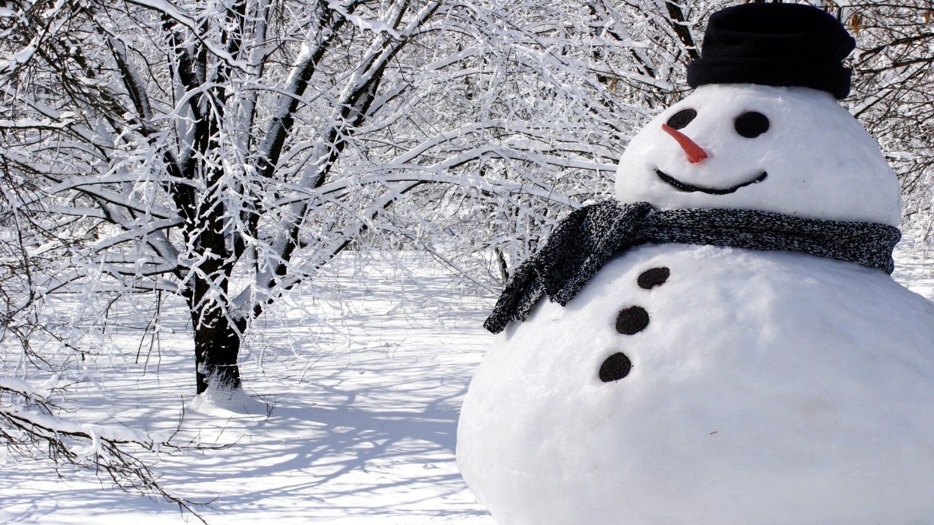real-snowman-296582