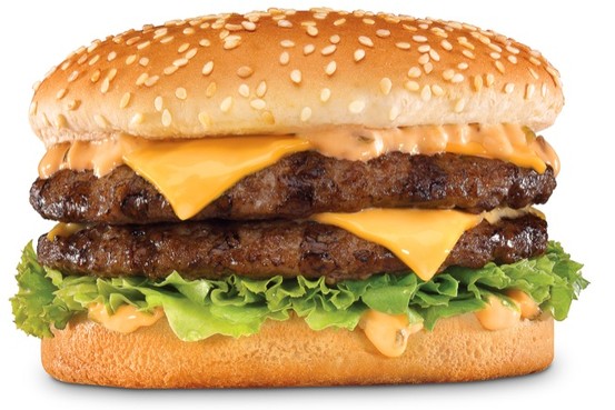 MK-AX862_BURGER_G_20090818174138