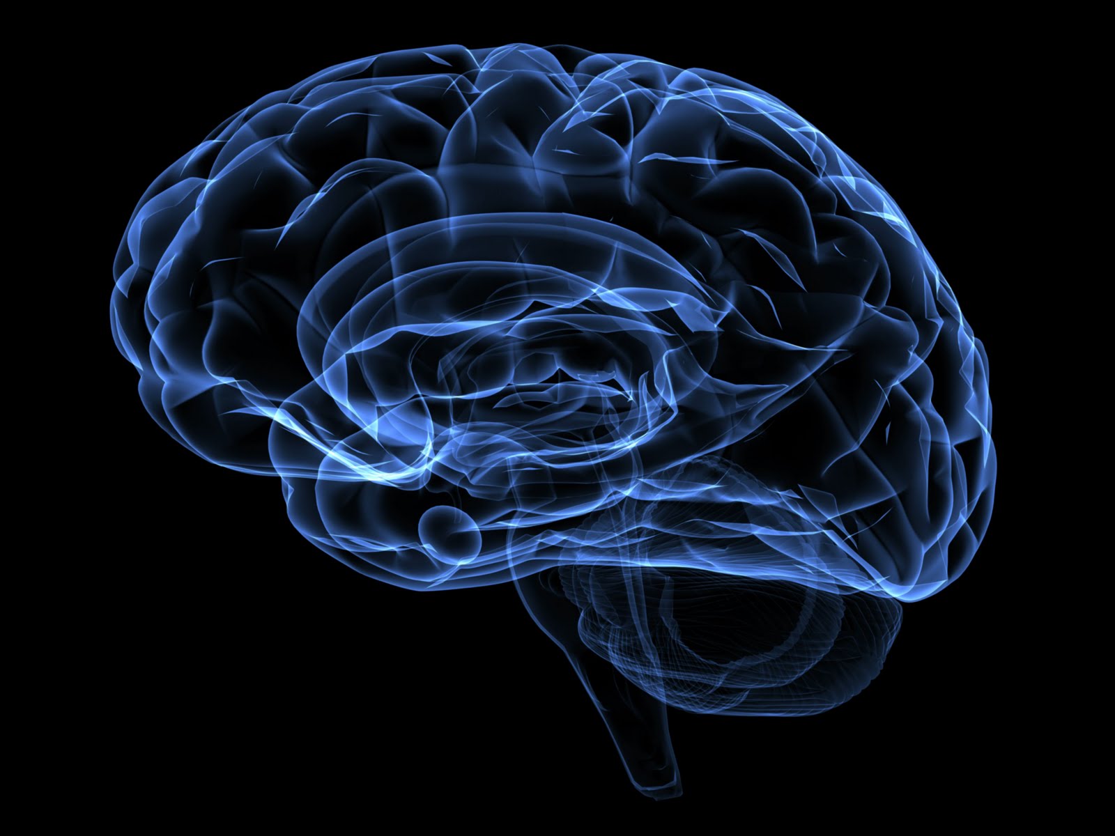 blue-xray-brain-medium