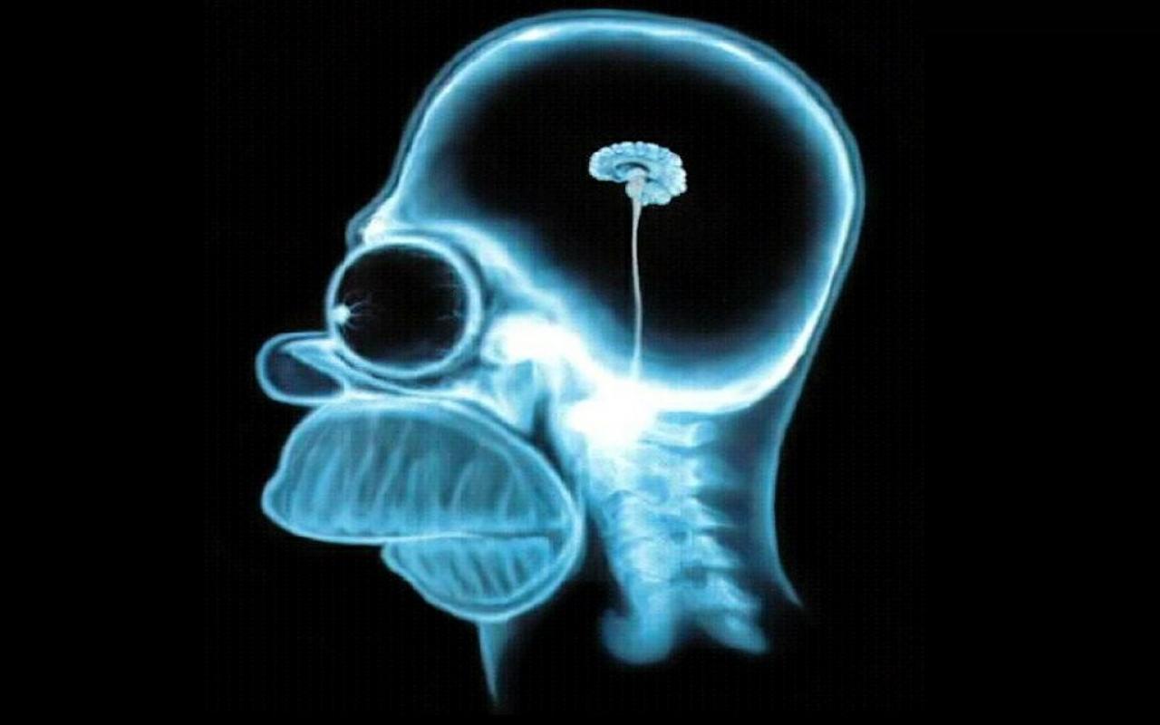 Homer-simpson-brain,1280×800,18857