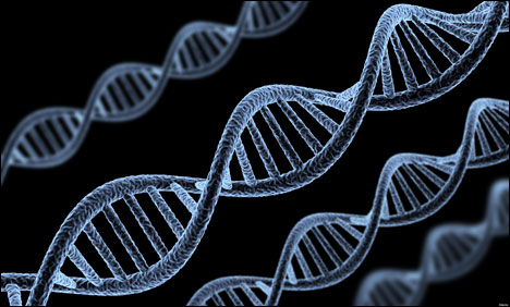 US-top-court-weighs-patentability-human-genes_4-15-2013_96786_l