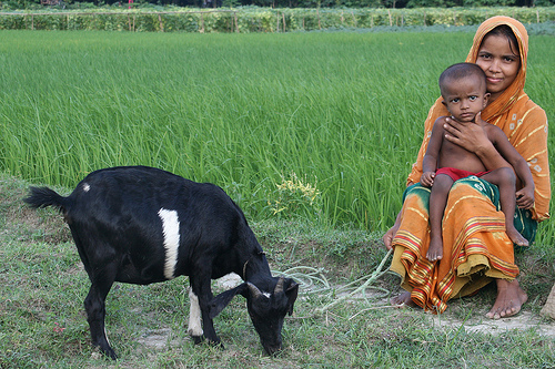 Woman_with_goat