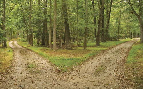 Roads Diverging