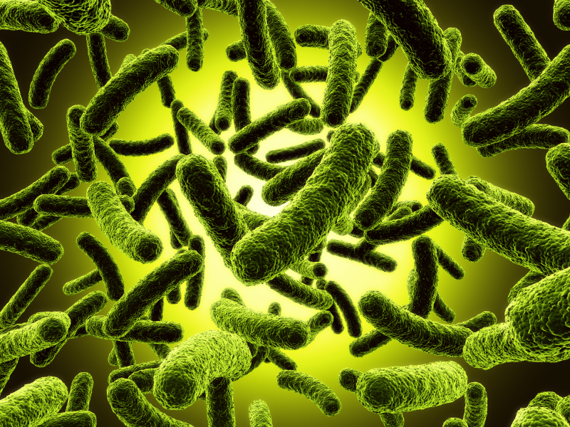 Microbes
