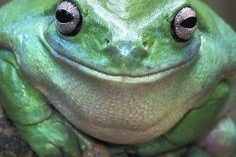 2c4bb5b221314bbe7cf1da1638d5c332