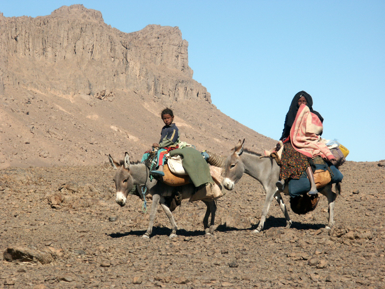 Nomad-Tuaregs