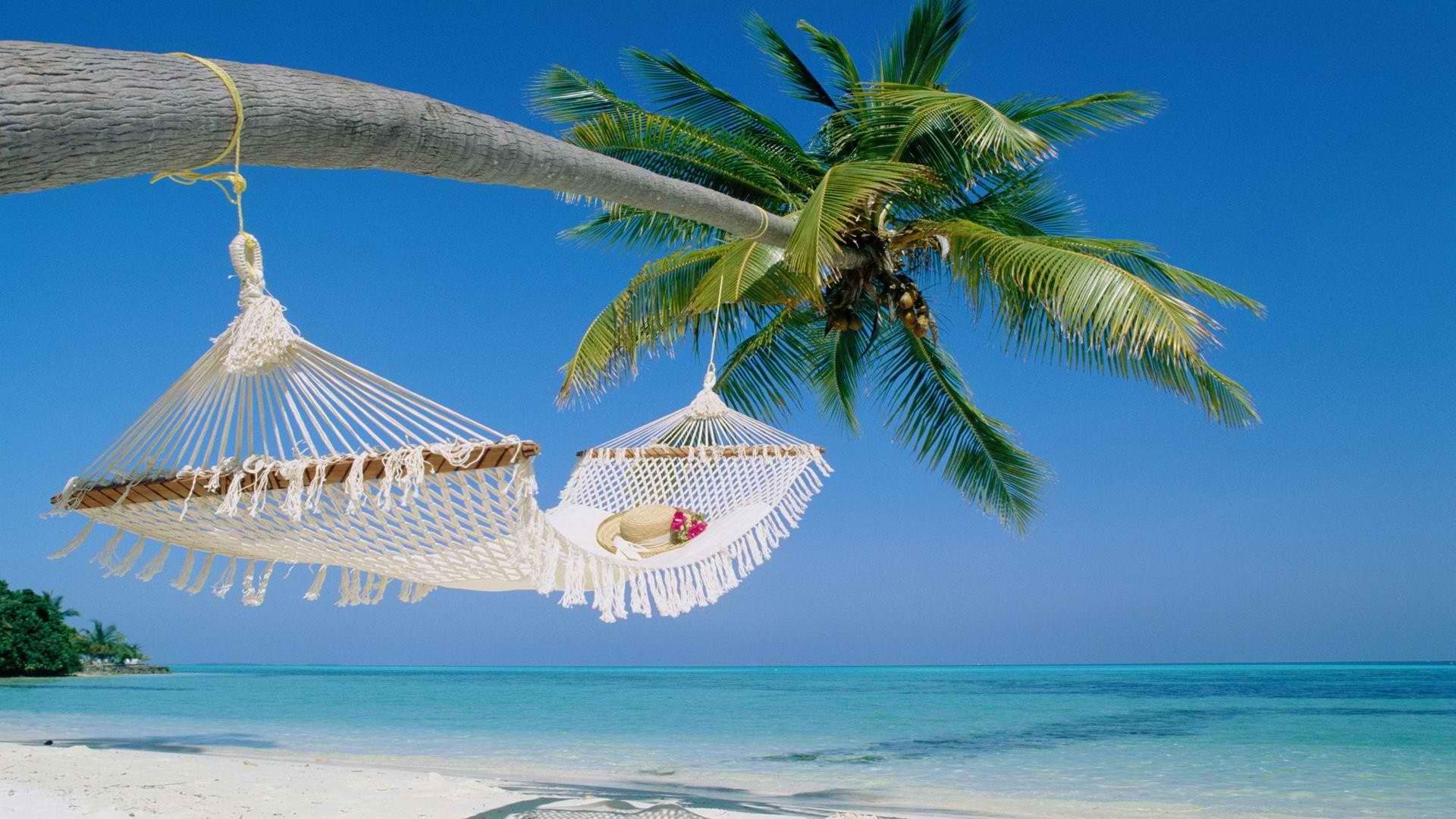hammock2