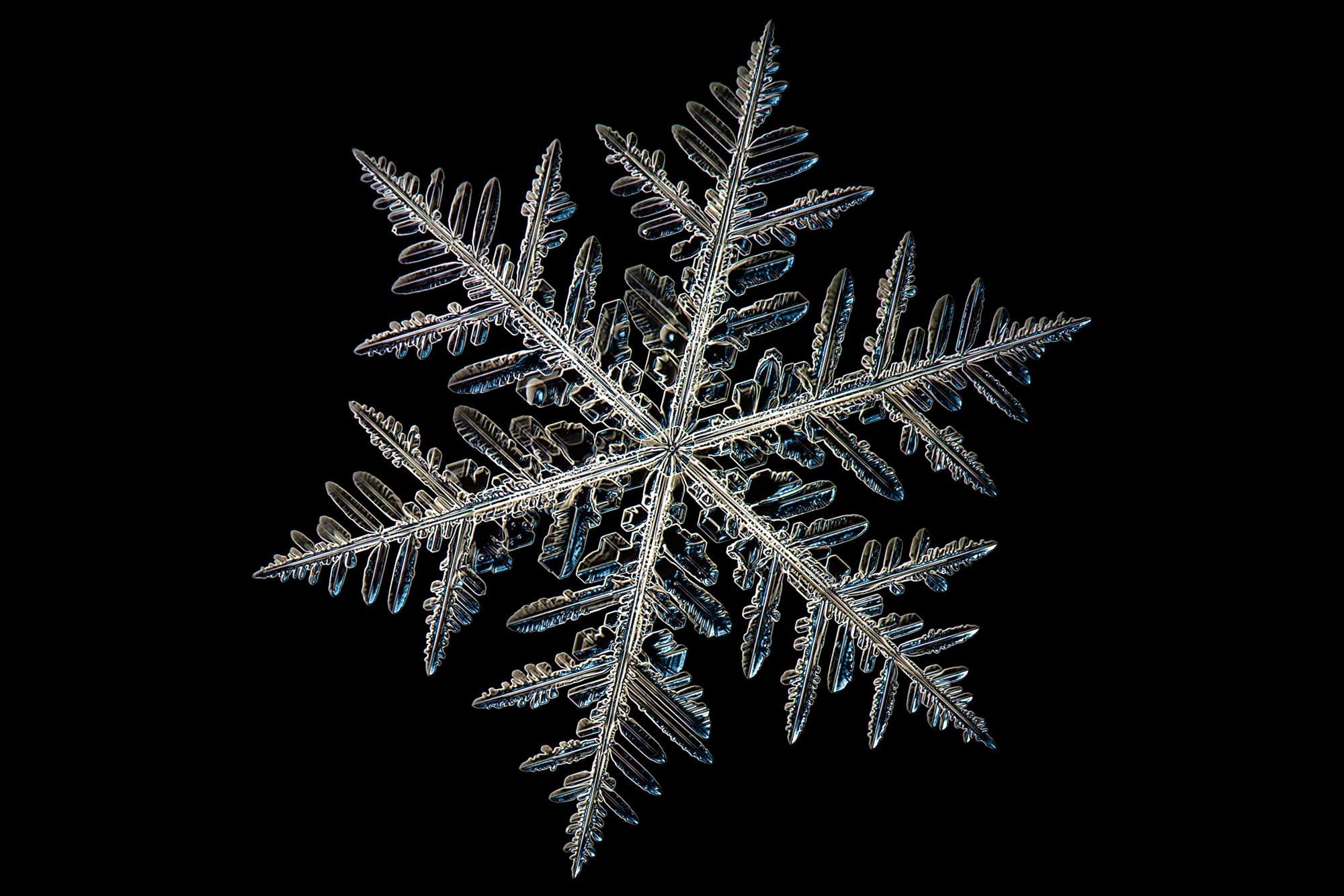 134389_shutterstock_329007164_index