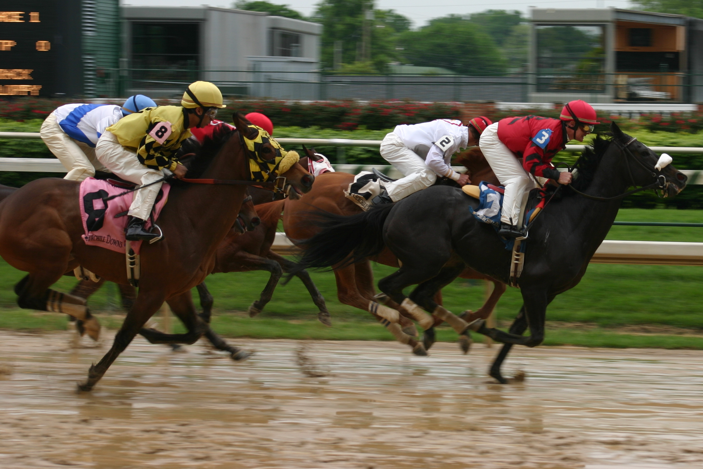 Horse_race,_Churchill_Downs_2008-04-18