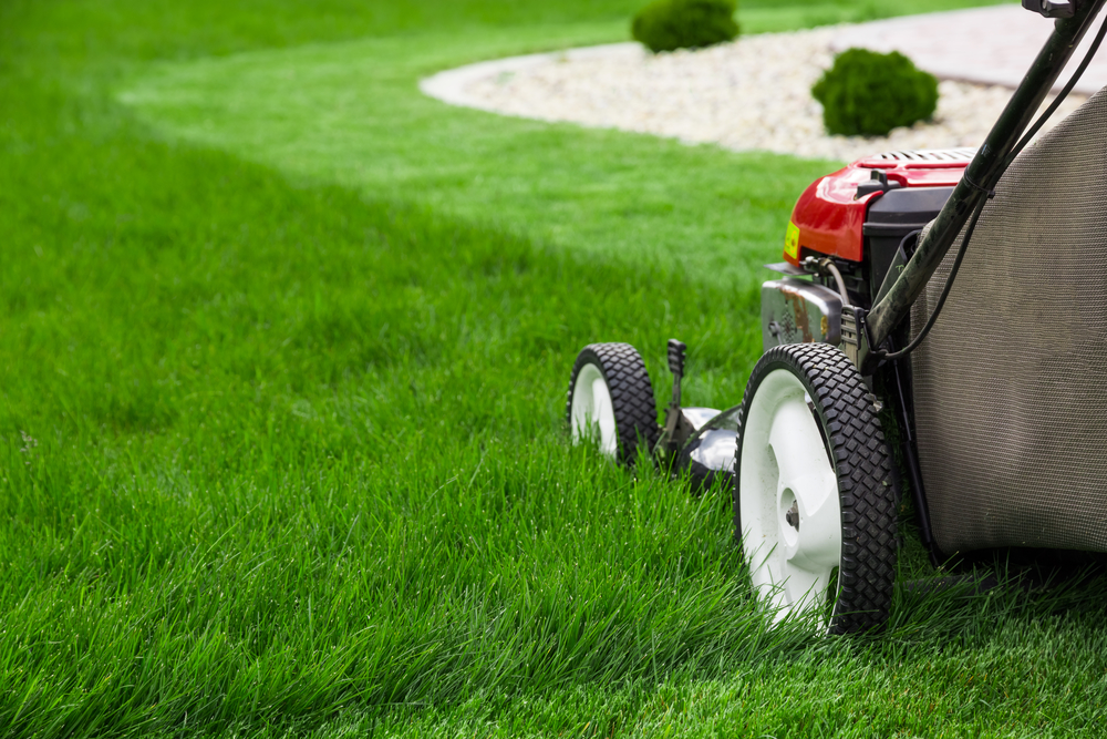 Lawn-Mower