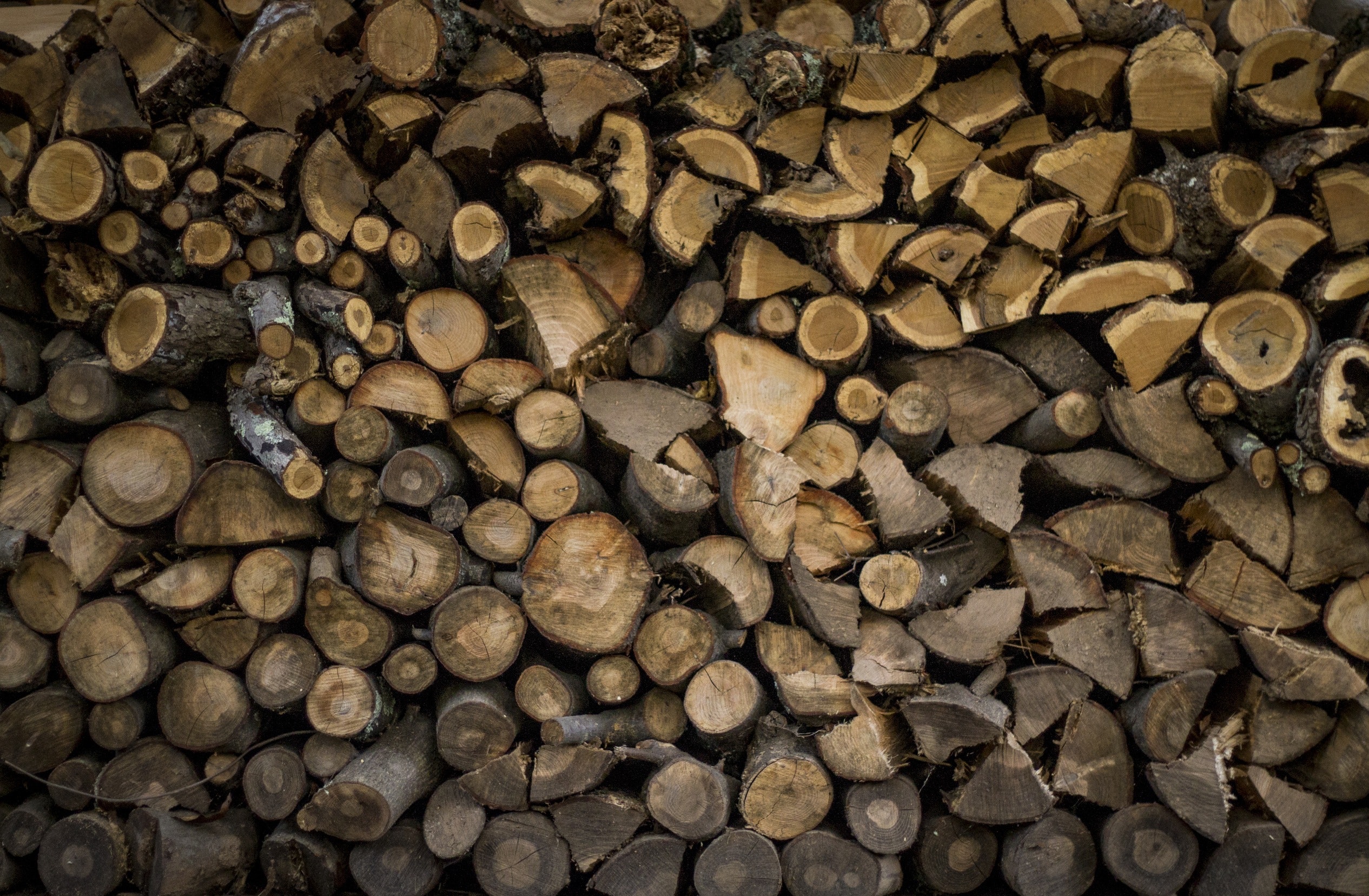logs-lumber-texture-516658