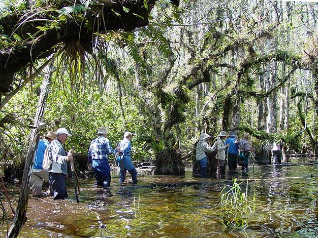 Swamp-Walk-21b-1