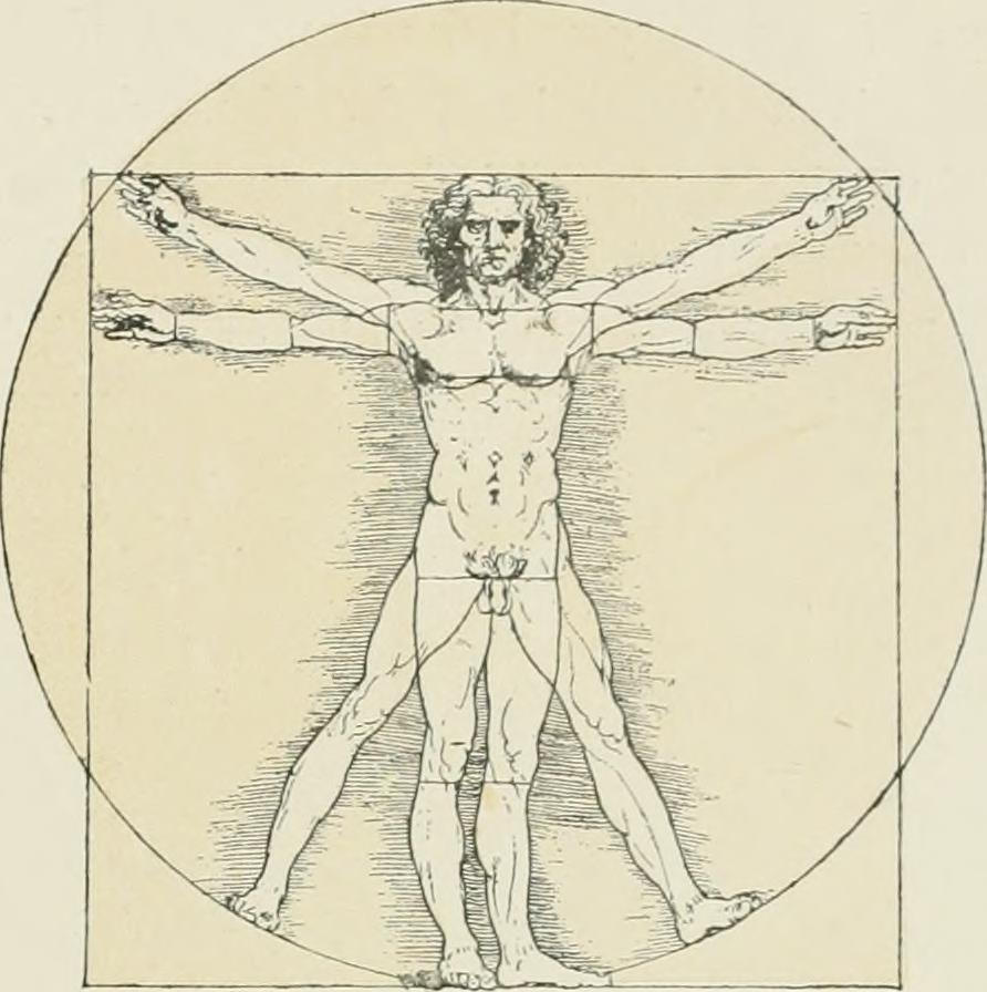 leonardo da vinci