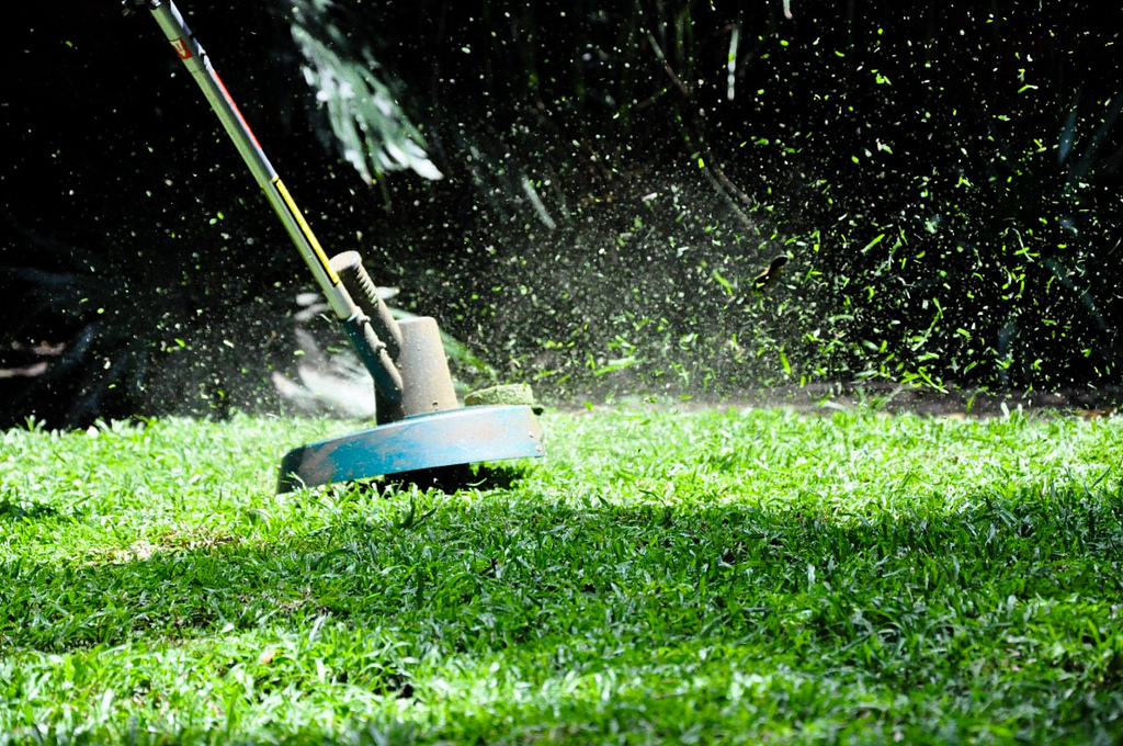 cutting the lawn 2
