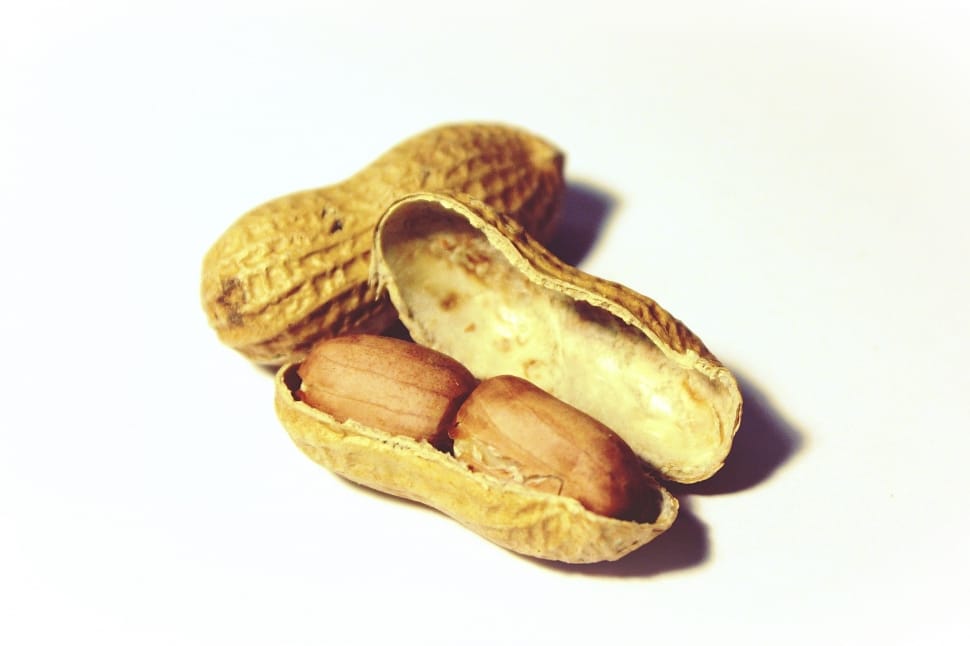 nutrition-snack-peanuts-healthy-nuts-wallpaper-preview