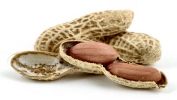 peanut