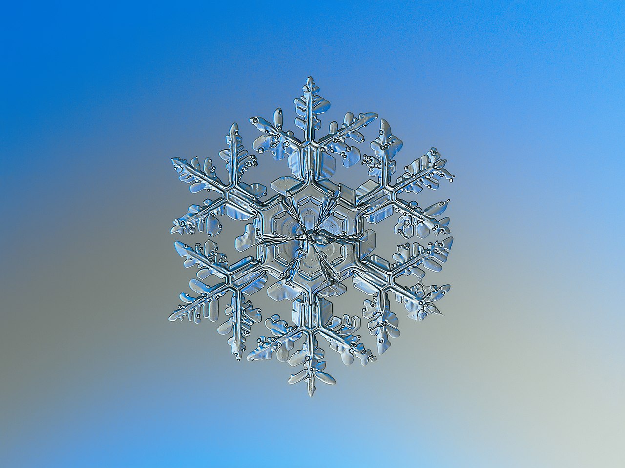 1280px-Snowflake_macro_photography_1