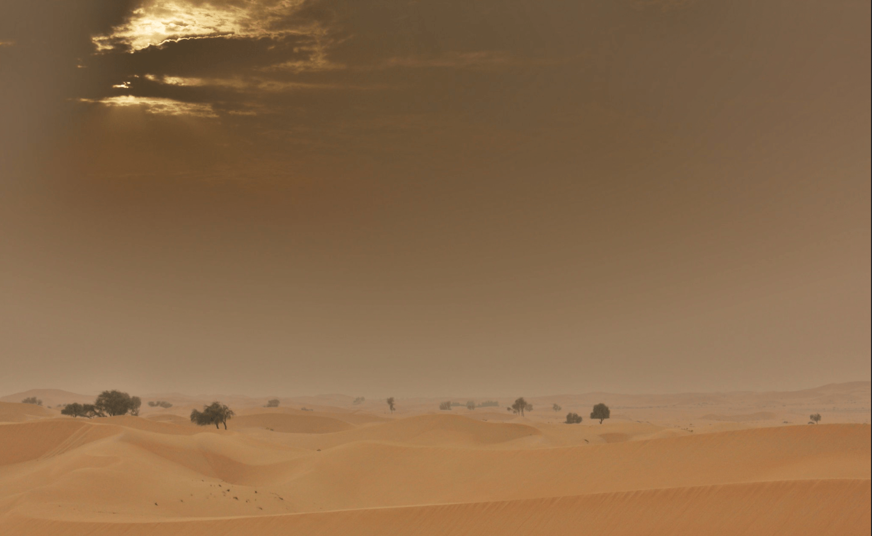 desert