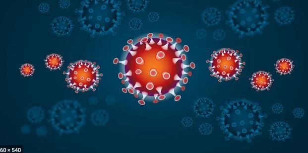virus