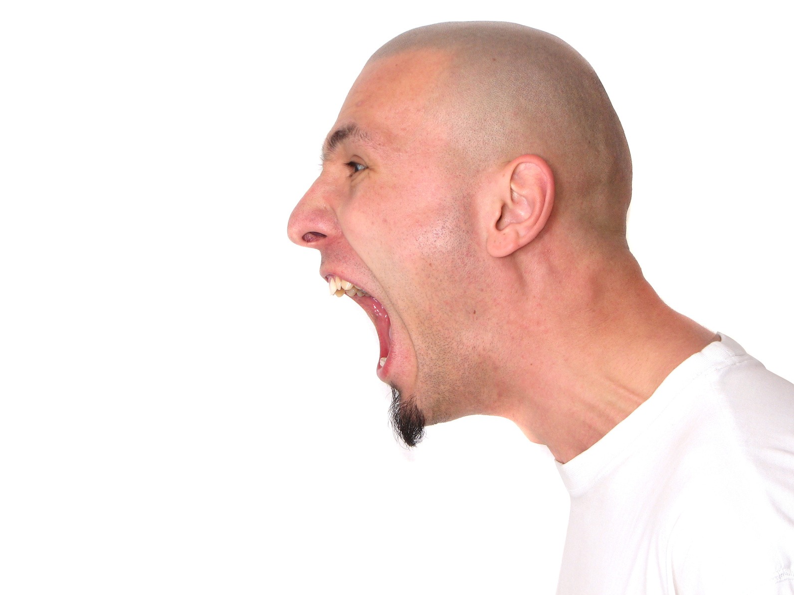 scream!