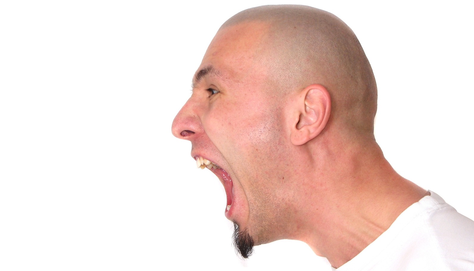 scream!