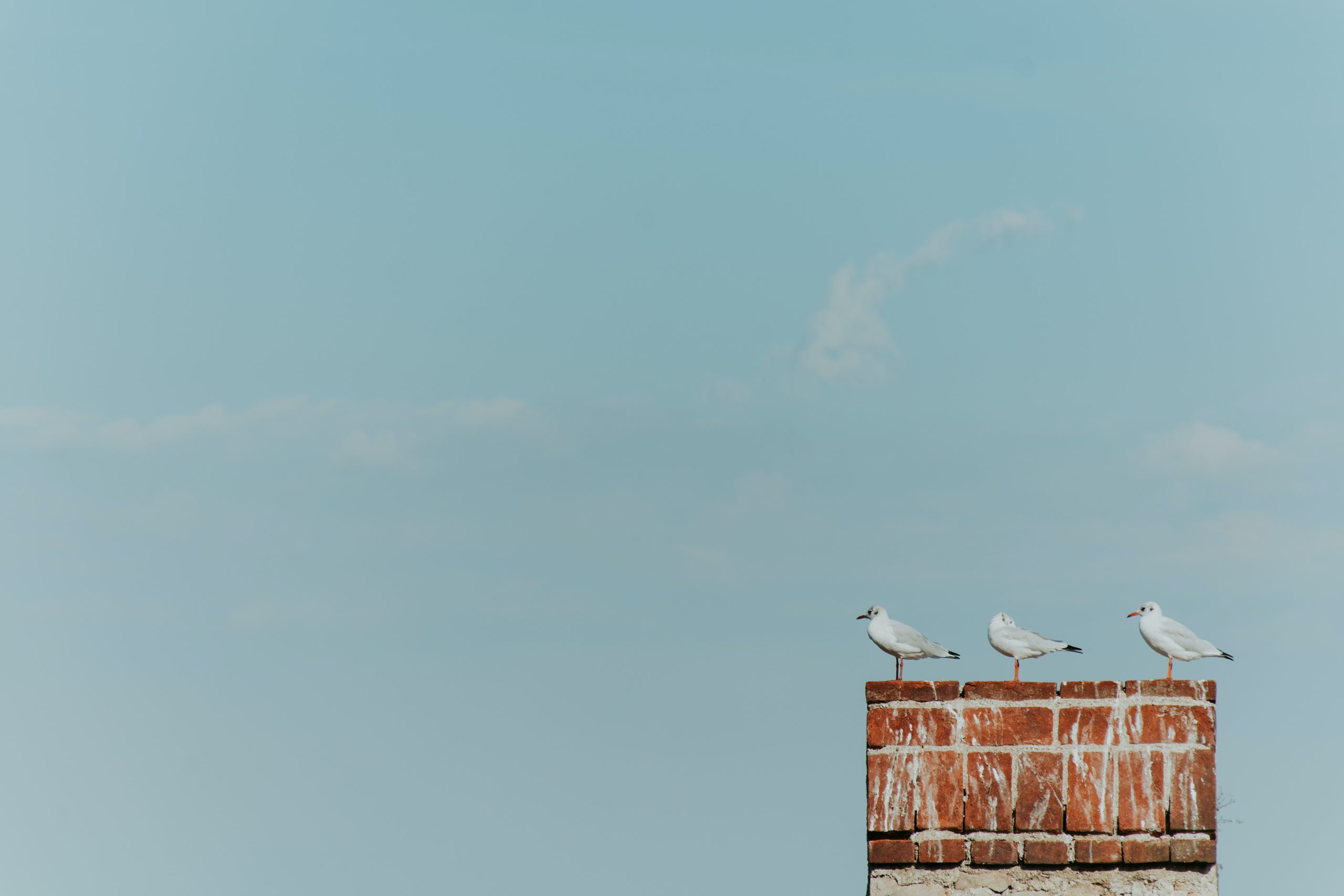 z-s-9cKVKzUJ6o0-unsplash