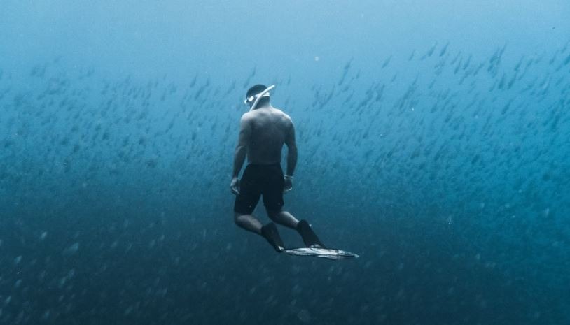 diver