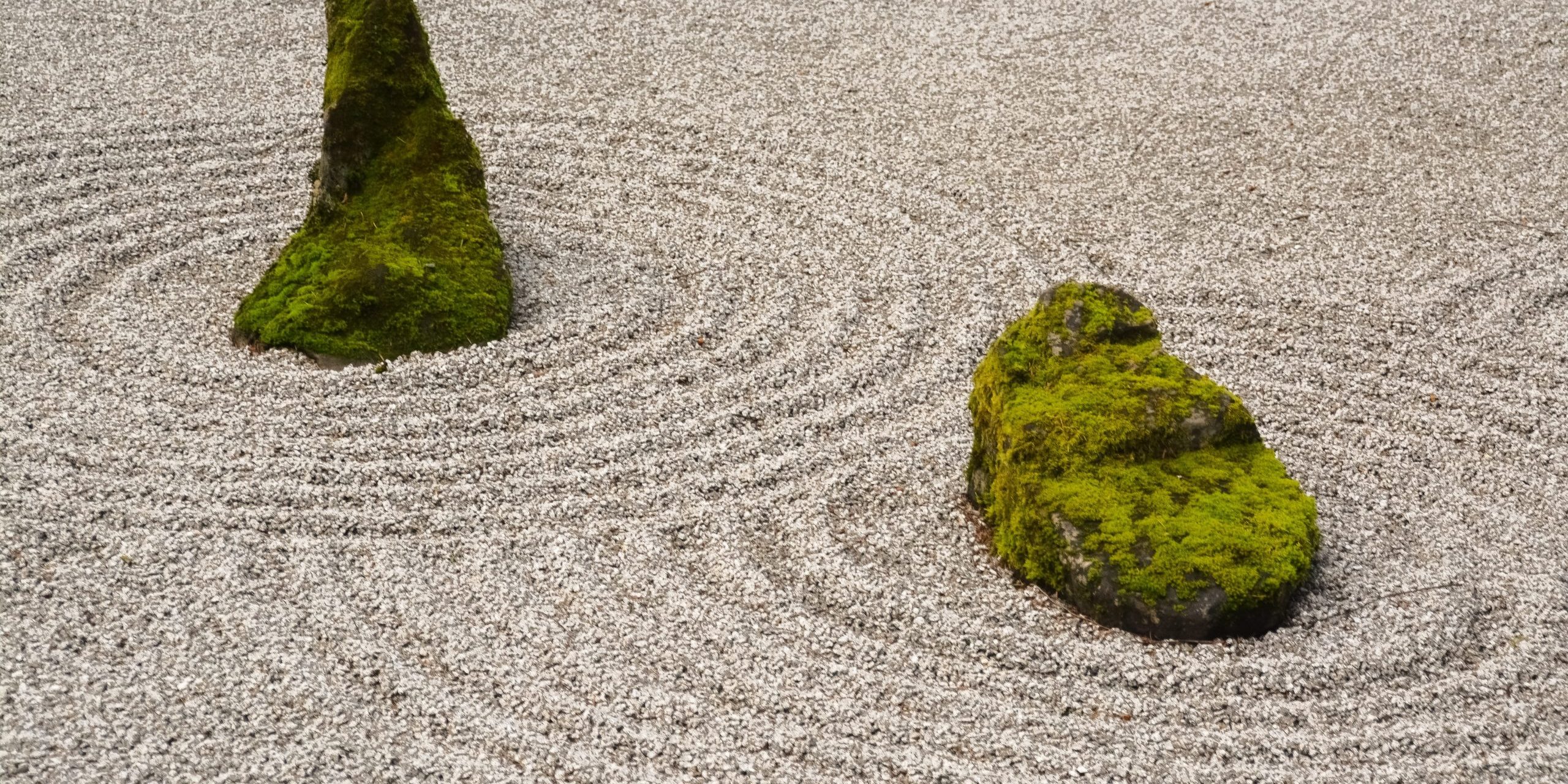 jeremy-bezanger-EahSUiwMgMQ-unsplash (1)