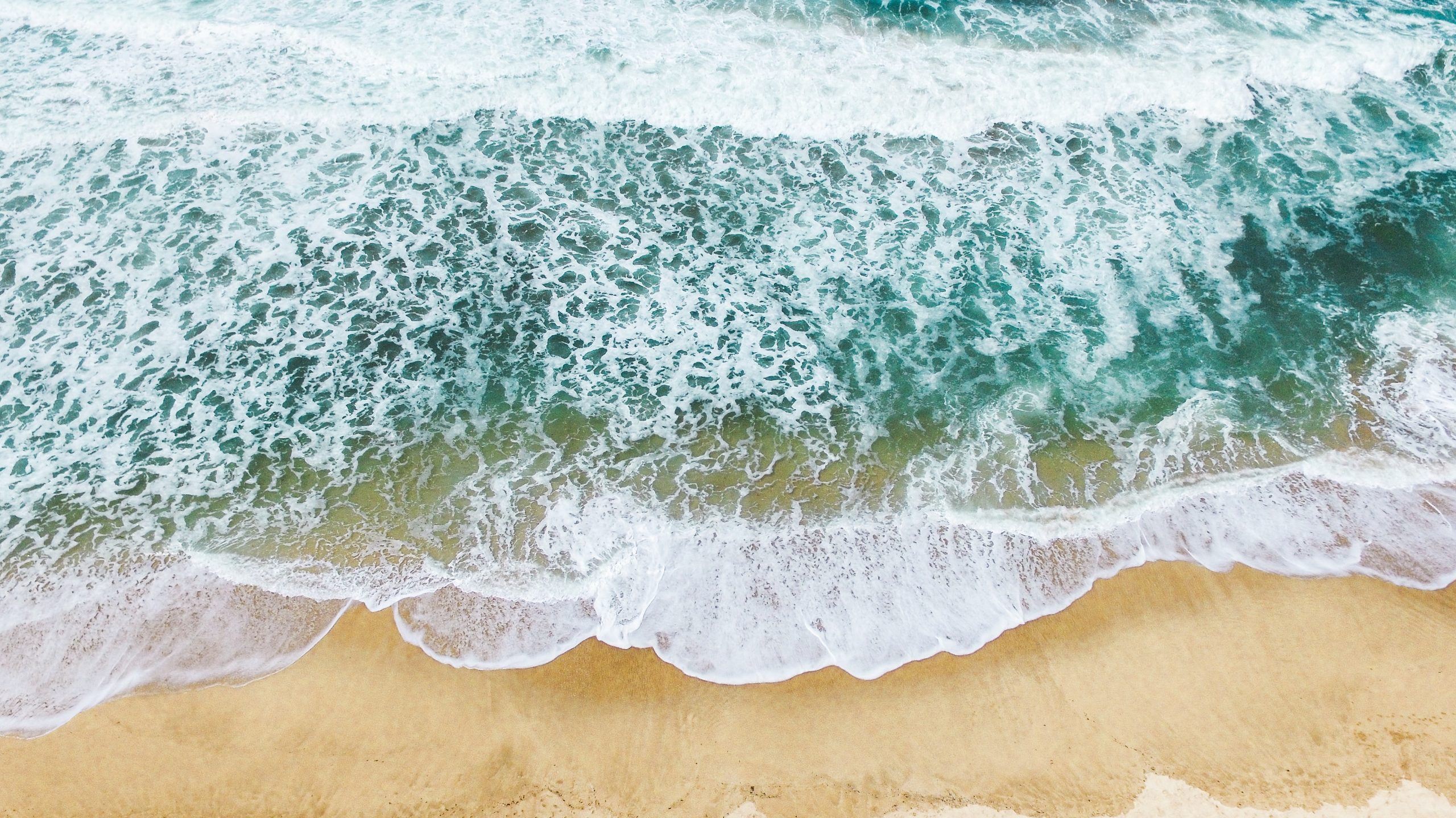 sean-d-auria-SXHpoC1Xj10-unsplash