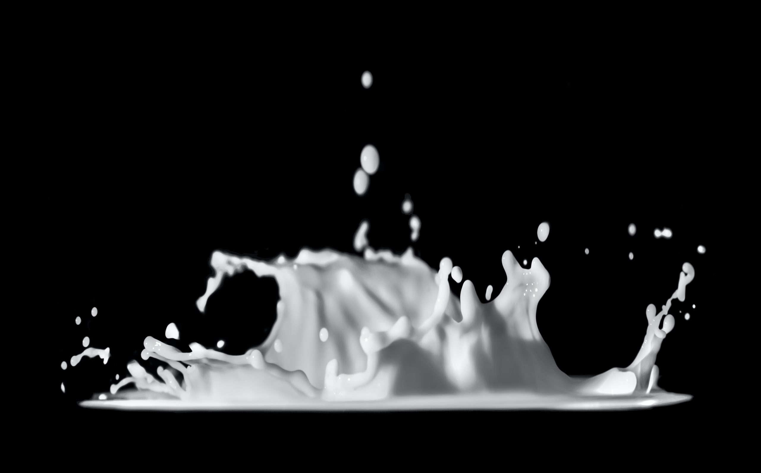 daniel-sinoca-Qsa48he4JPc-unsplash