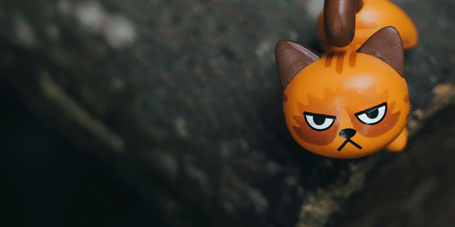 niranjan-_-photographs-4cVf