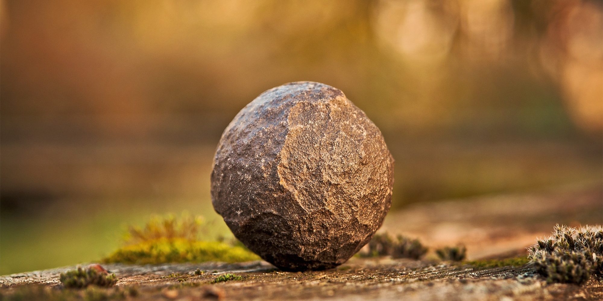 pexels-pixabay-161702