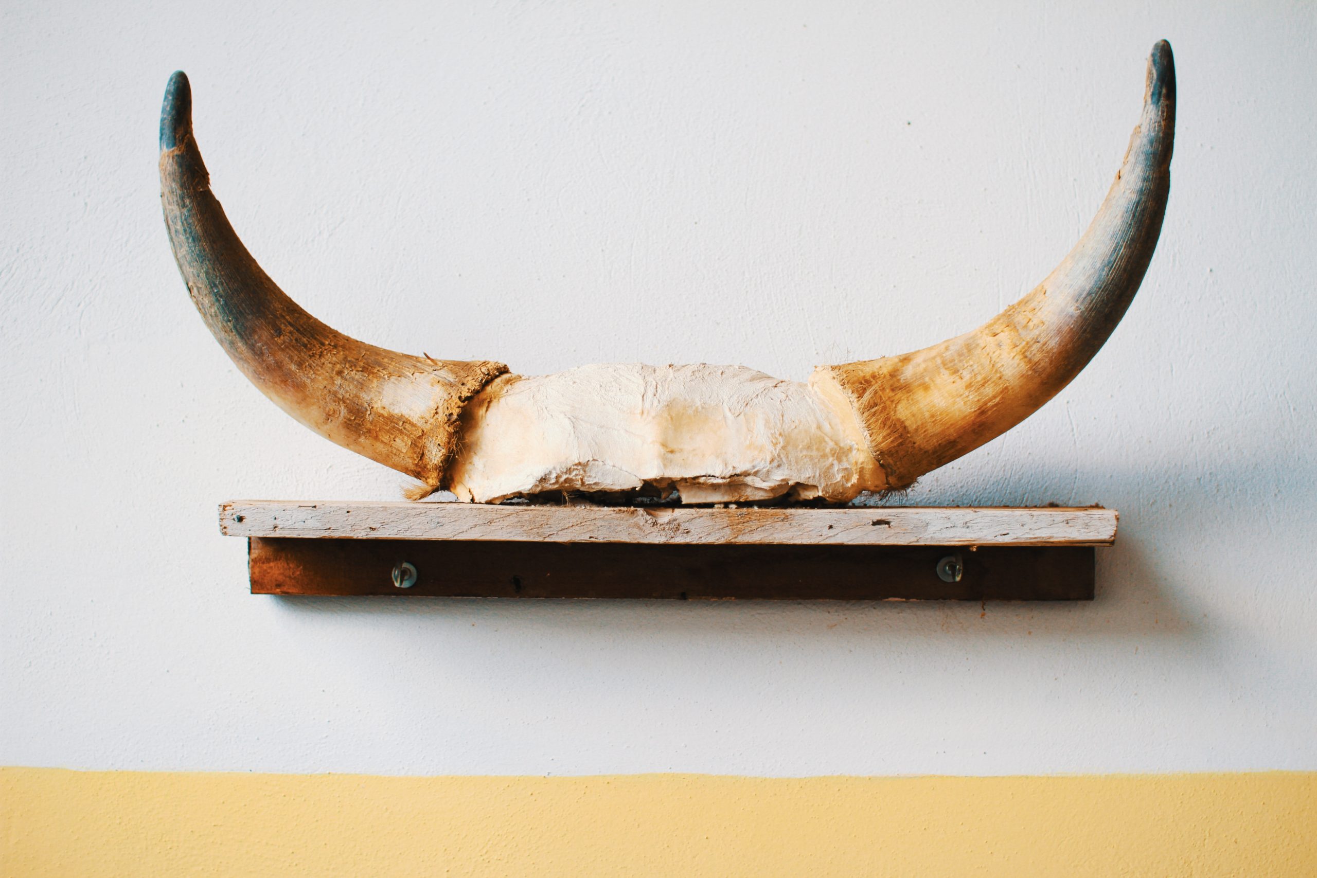 alessandro-la-becca-0dJANT-HWAo-unsplash