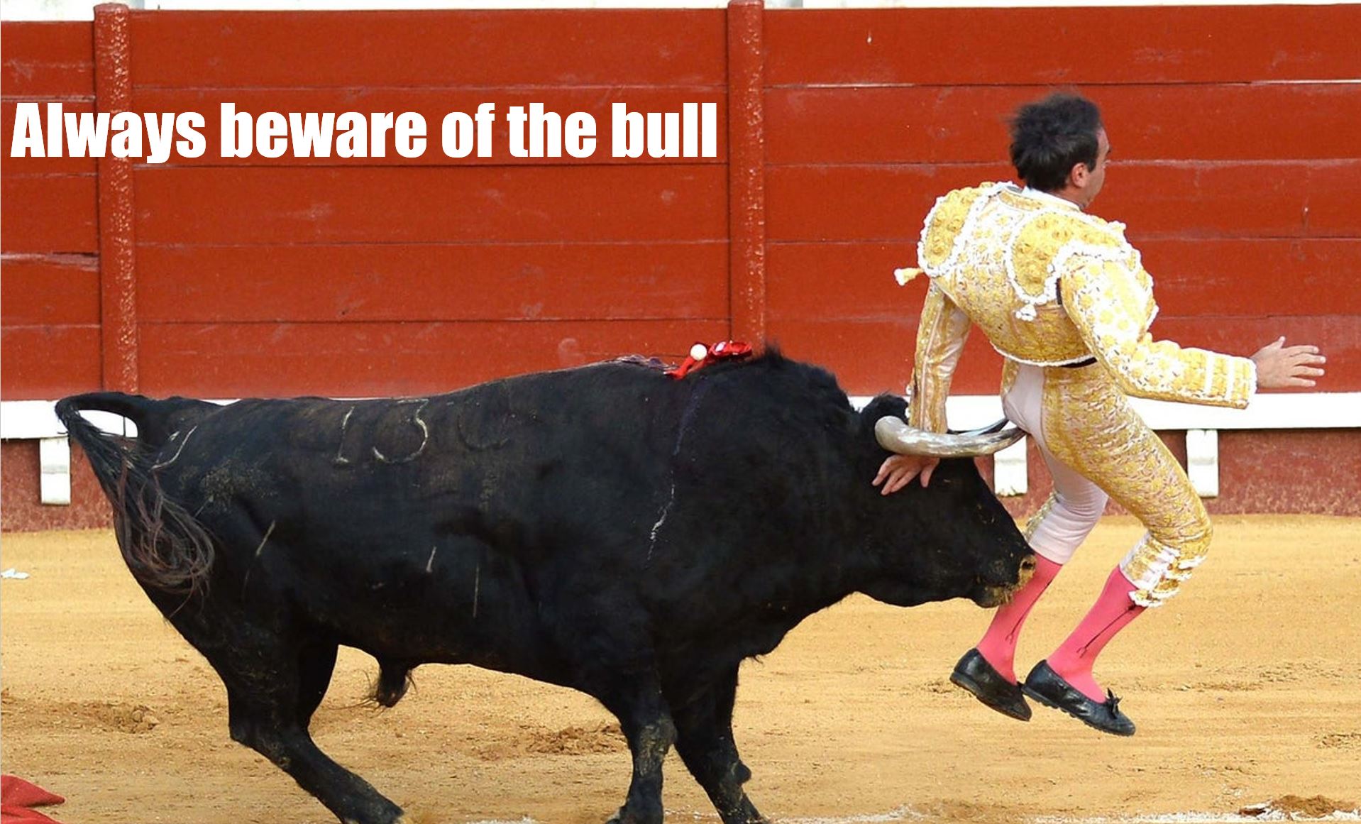 Bull