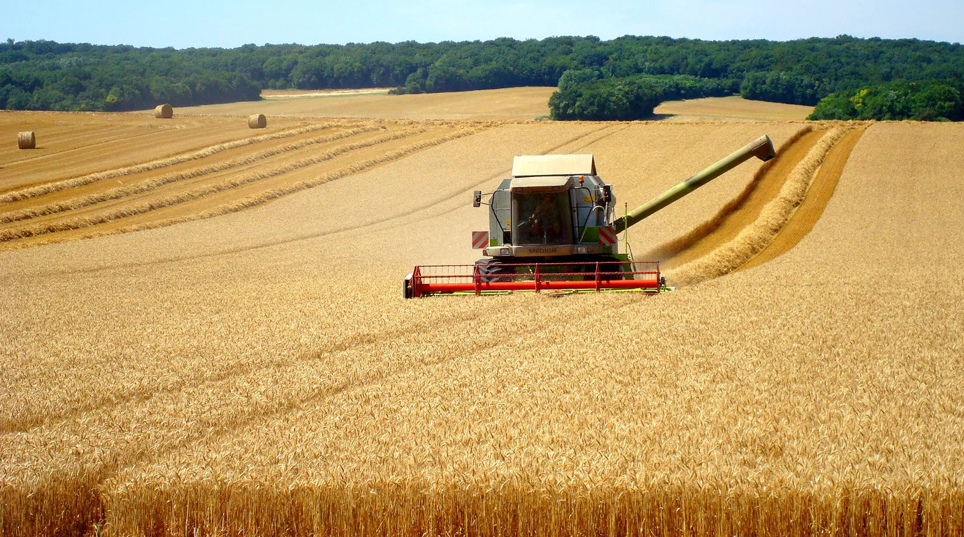 harvest